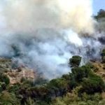 Incendi boschivi, in Campania scatta lo stato di grave pericolosità: dal 15 giugno al 30 settembre divieti su tutto il territorio regionale